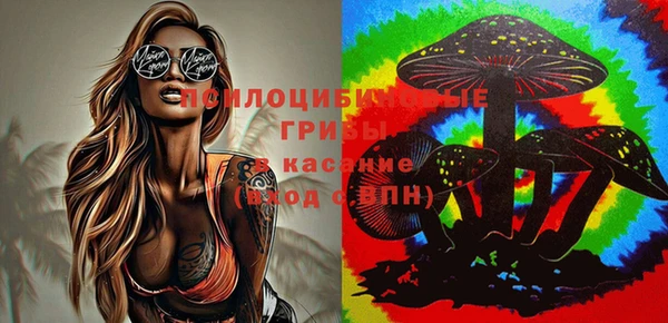 гашик Абинск
