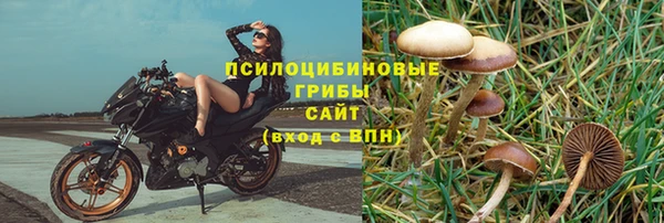 герыч Абаза