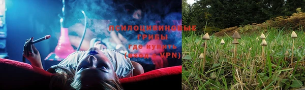 гашик Абинск