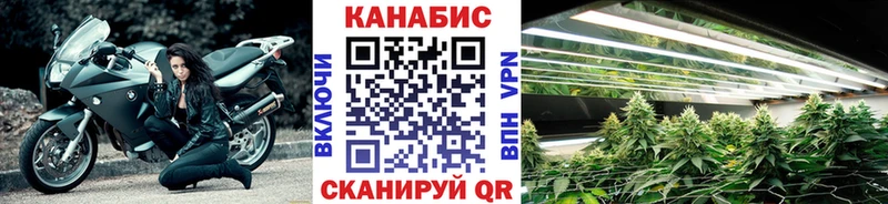 Бошки марихуана конопля  Вилюйск 
